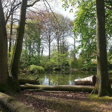B & B De Pimpelmees 's-Gravenmoer エクステリア 写真
